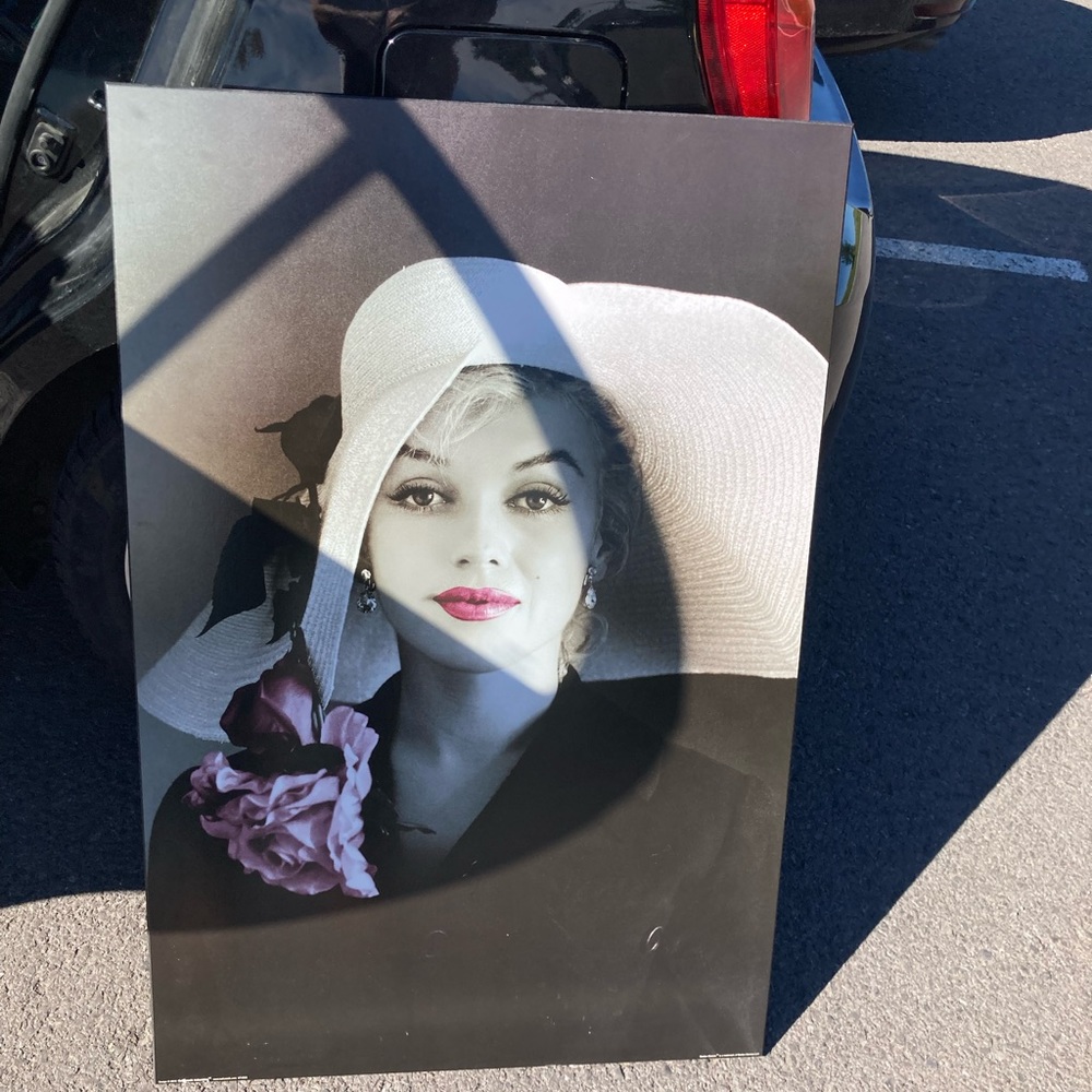 Cadre Marilyn Monroe rare fleurs